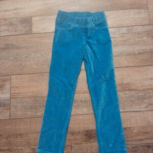 Anthem of the Ants Blue Pants